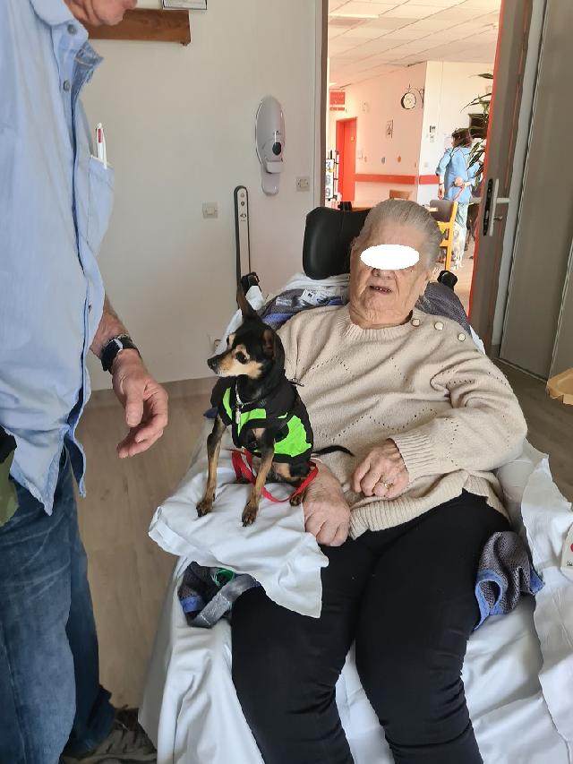 493726483 122136069980402706 7177147592119028141 n