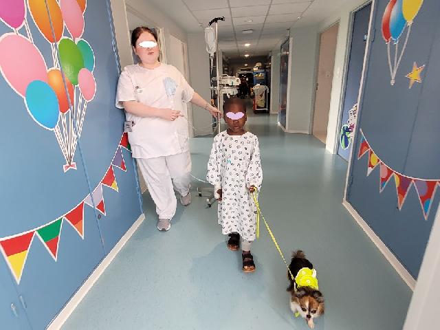 494124687 122137631786402706 377768604590870153 n