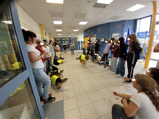 504489029 122137547702402706 5584932885822023193 n