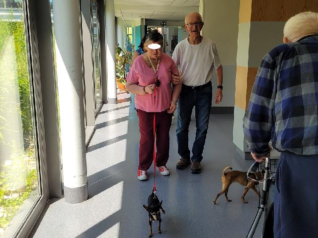 505469505 122138496206402706 7517807731106025591 n